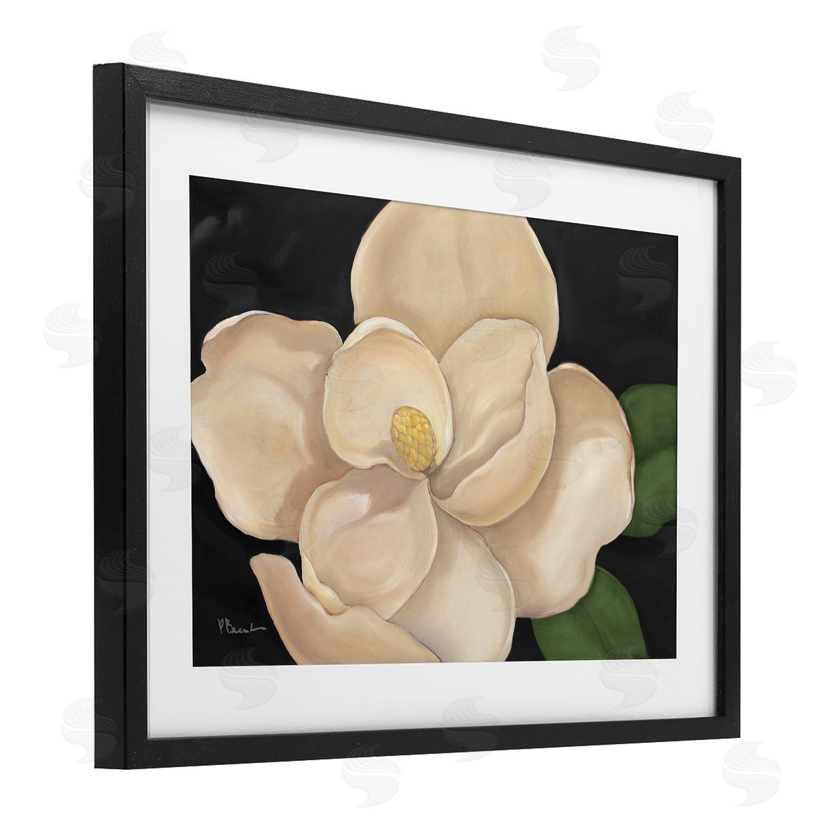 Paul Brent Magnolia Grandiflora on Black Canvas Wall Art Print