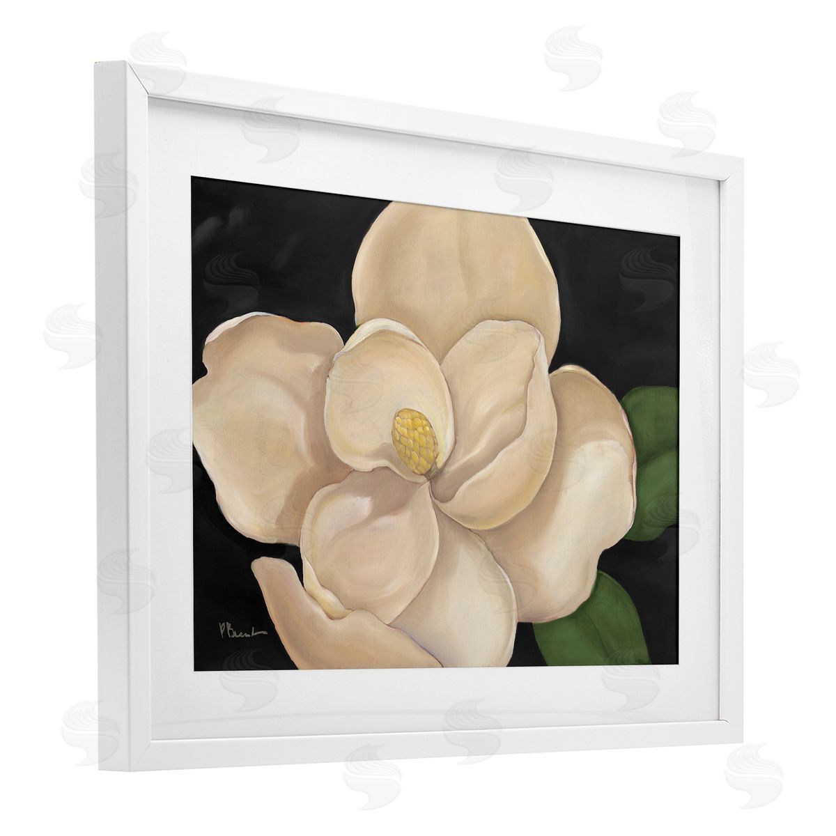 Paul Brent Magnolia Grandiflora on Black Canvas Wall Art Print