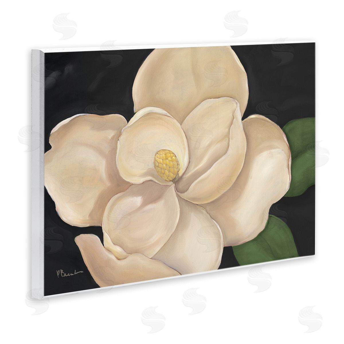 Paul Brent Magnolia Grandiflora on Black Canvas Wall Art Print