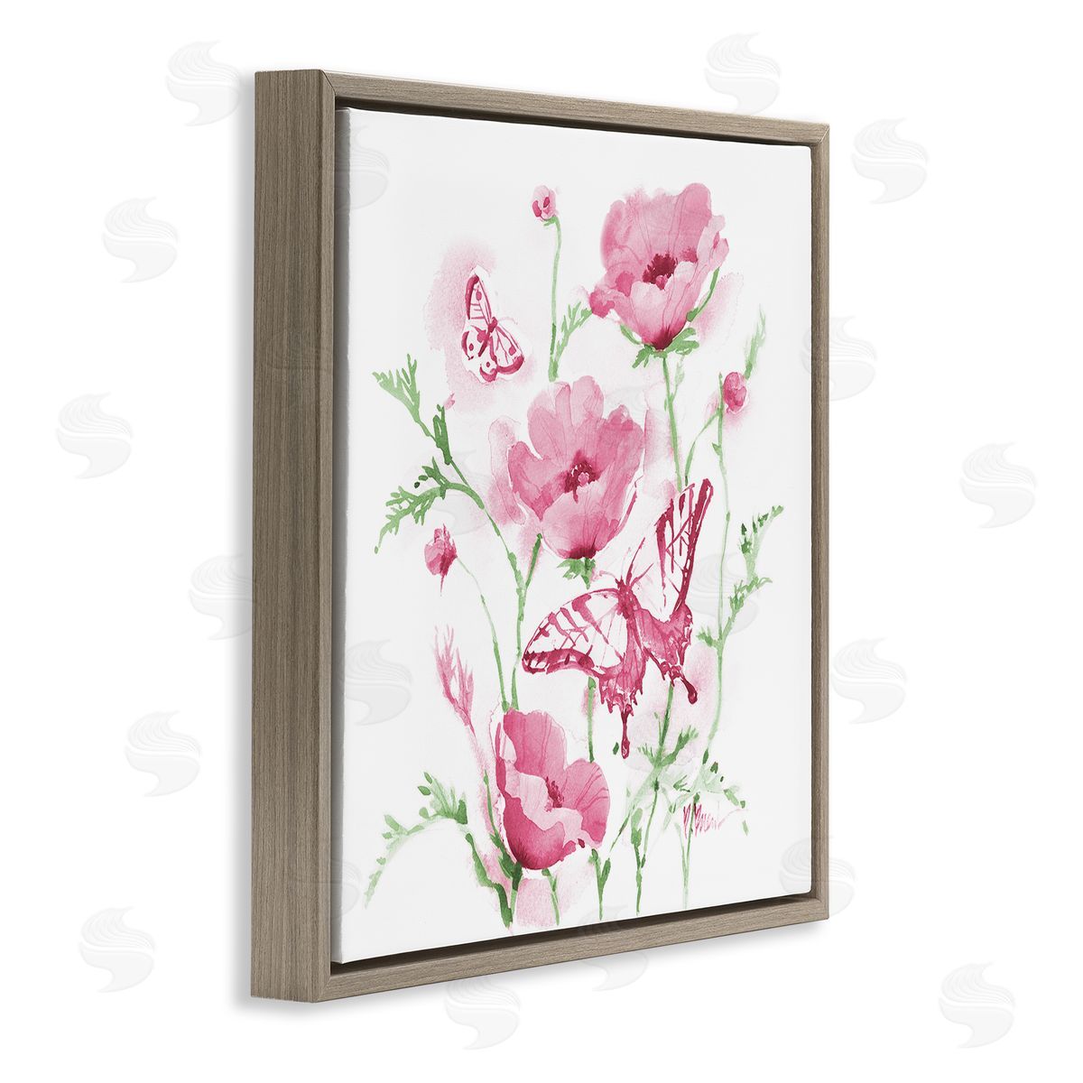 Paul Brent Pink Province Poppies Canvas Wall Art Print