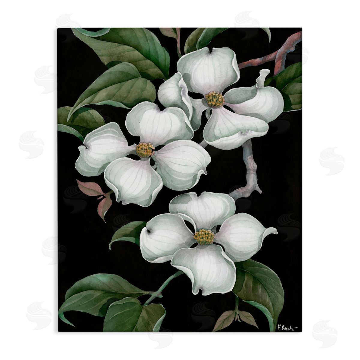Paul Brent Vintage Dogwood Trio Canvas Wall Art Print