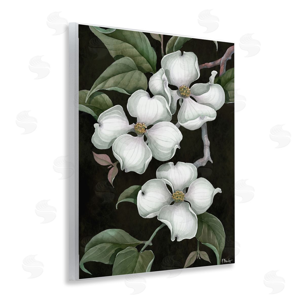 Paul Brent Vintage Dogwood Trio Canvas Wall Art Print