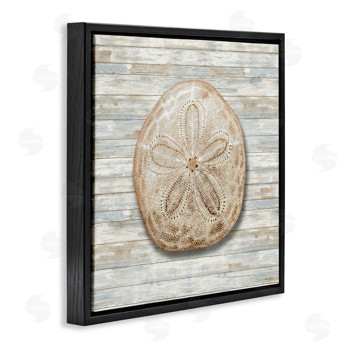 Amber Sterling Sand Dollar On Shiplap Canvas Wall Art Print
