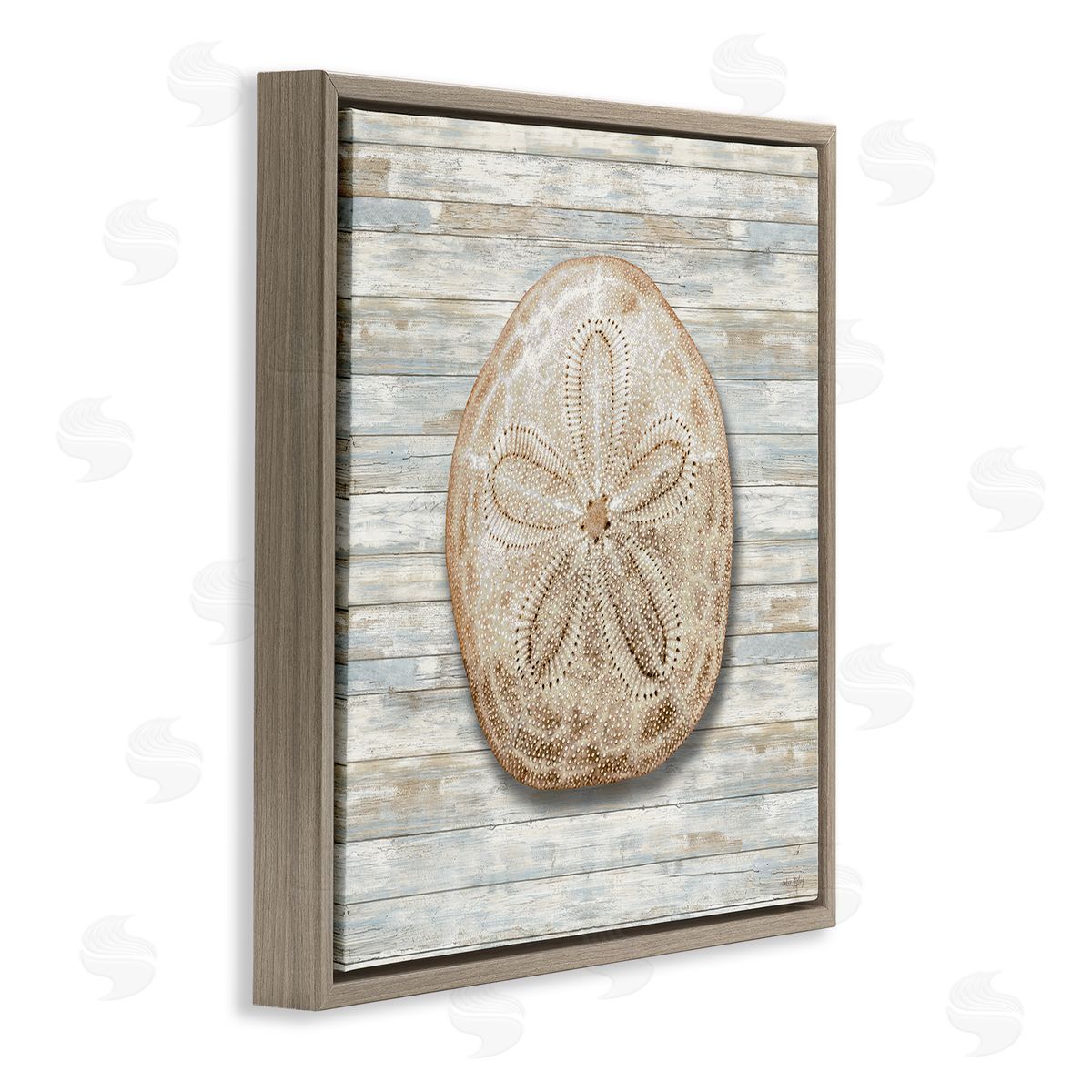 Amber Sterling Sand Dollar On Shiplap Canvas Wall Art Print