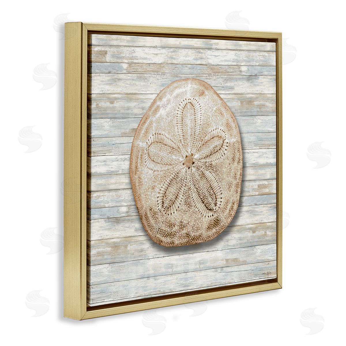 Amber Sterling Sand Dollar On Shiplap Canvas Wall Art Print