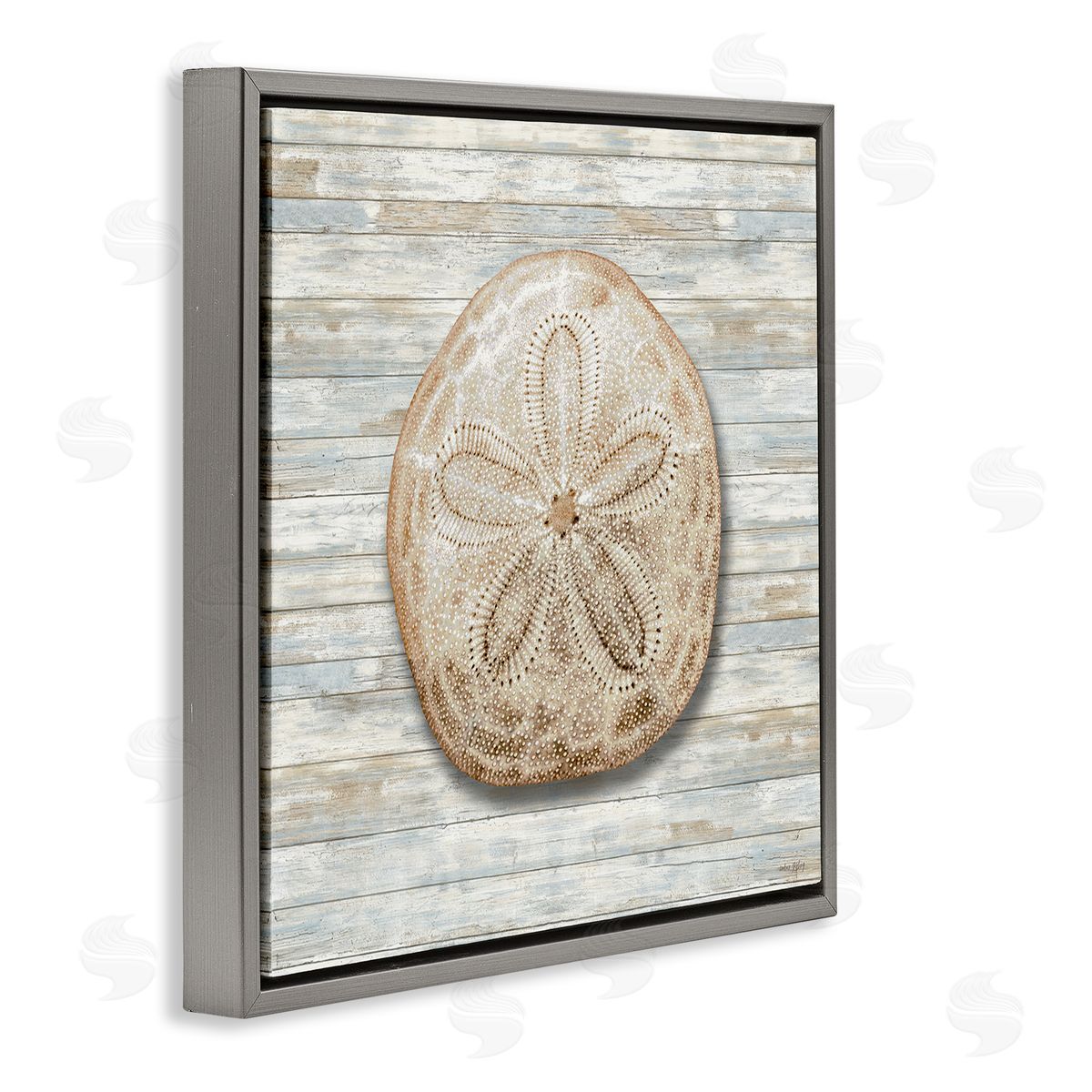 Amber Sterling Sand Dollar On Shiplap Canvas Wall Art Print