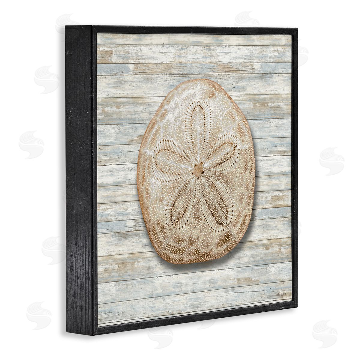 Amber Sterling Sand Dollar On Shiplap Canvas Wall Art Print