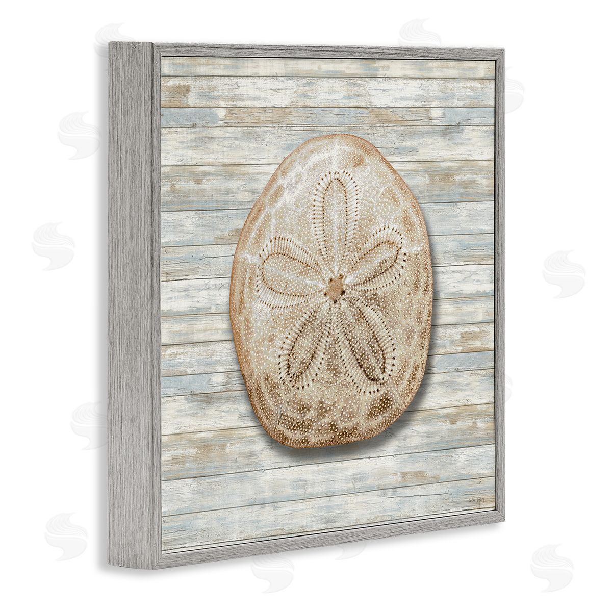 Amber Sterling Sand Dollar On Shiplap Canvas Wall Art Print