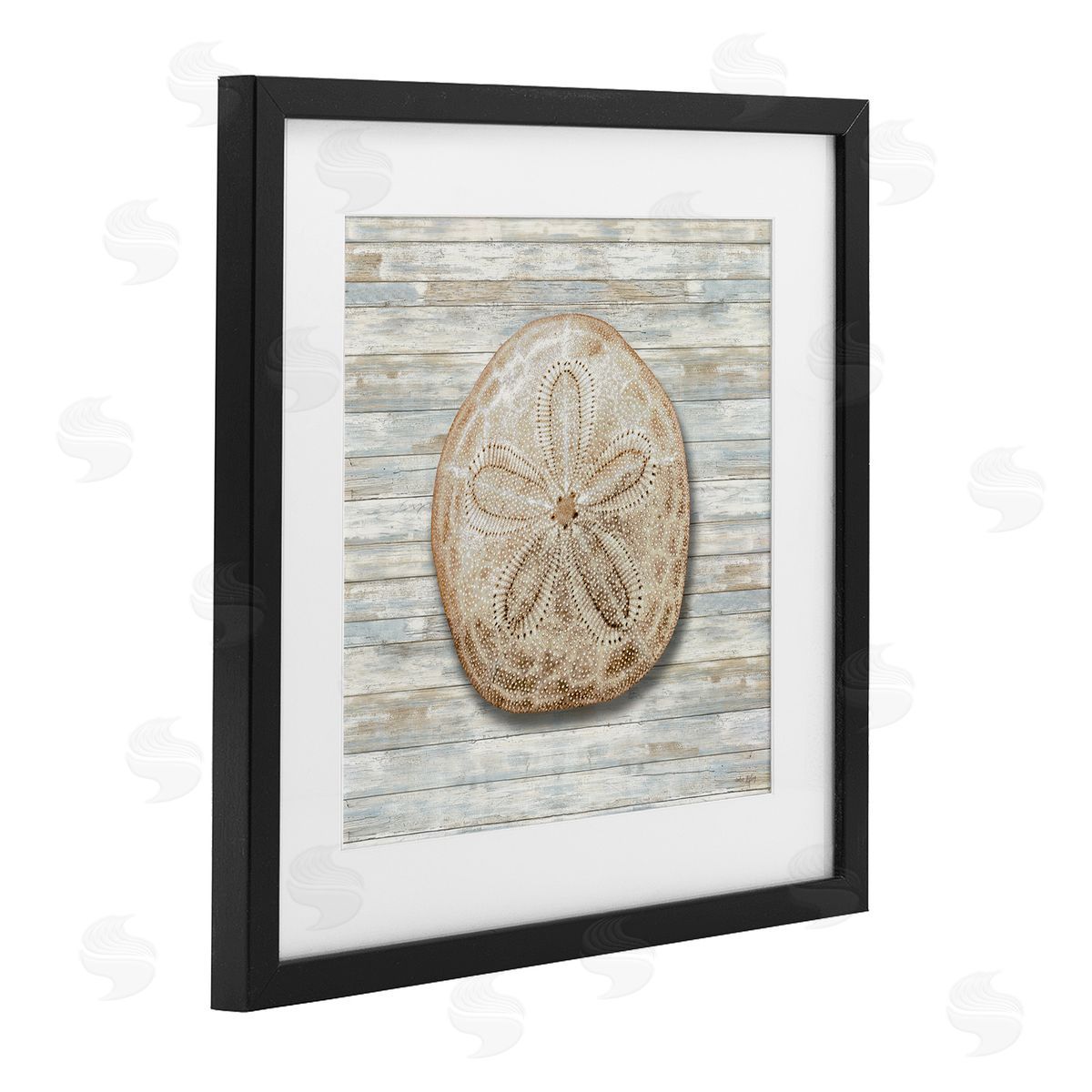 Amber Sterling Sand Dollar On Shiplap Canvas Wall Art Print