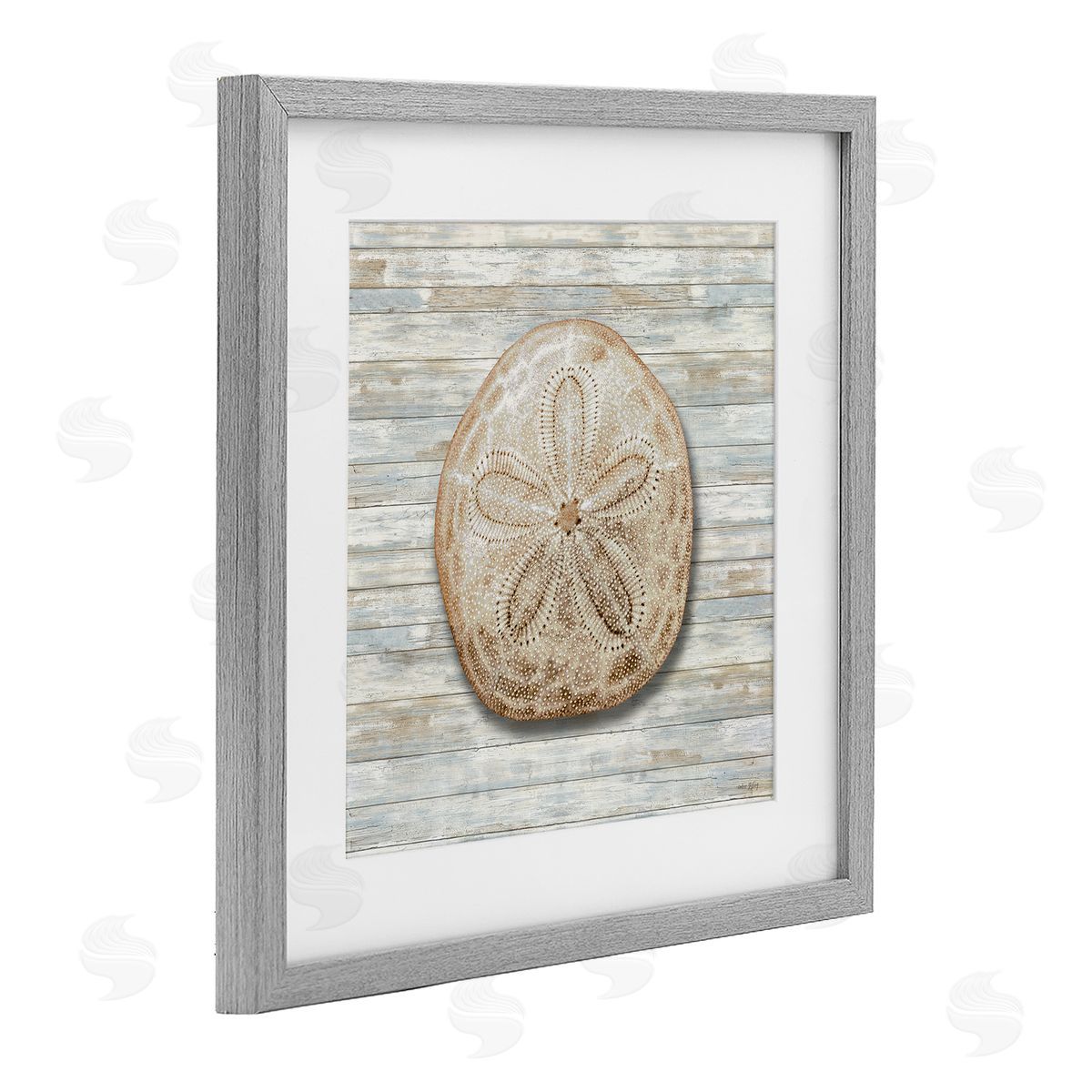 Amber Sterling Sand Dollar On Shiplap Canvas Wall Art Print