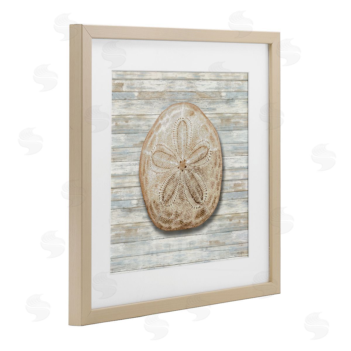 Amber Sterling Sand Dollar On Shiplap Canvas Wall Art Print