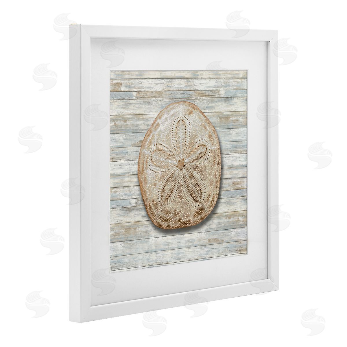 Amber Sterling Sand Dollar On Shiplap Canvas Wall Art Print