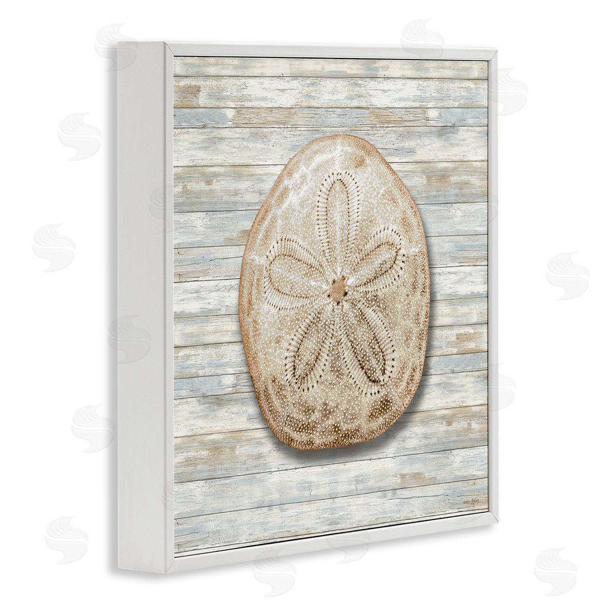Amber Sterling Sand Dollar On Shiplap Canvas Wall Art Print