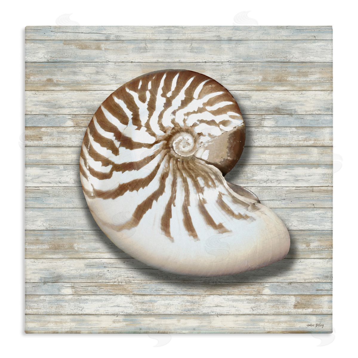 Amber Sterling Cowrie Shell on Shiplap Canvas Wall Art Print