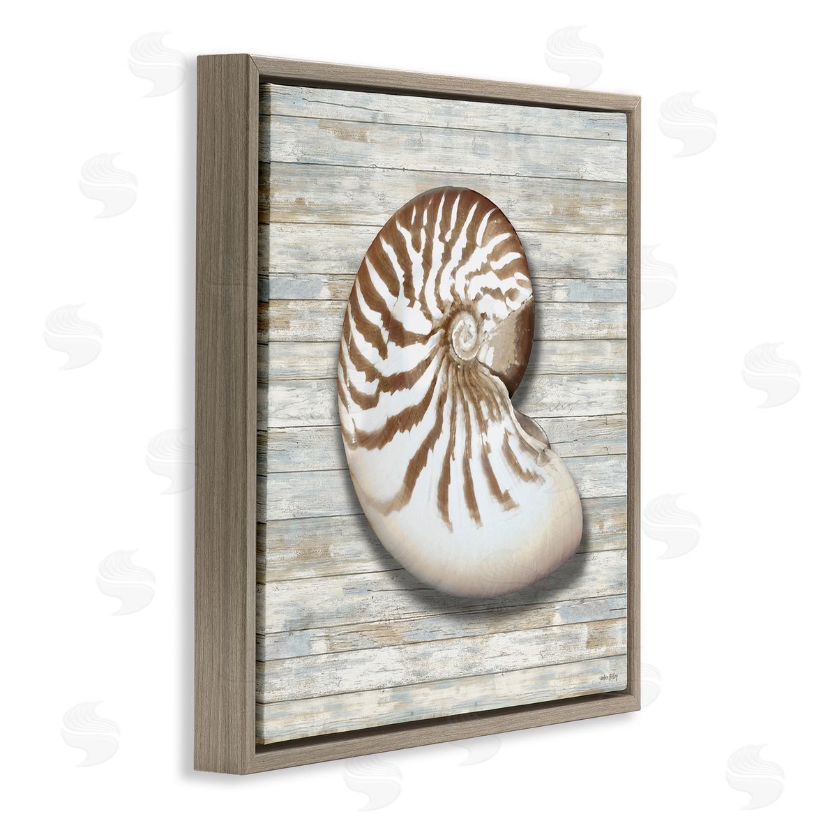 Amber Sterling Cowrie Shell on Shiplap Canvas Wall Art Print