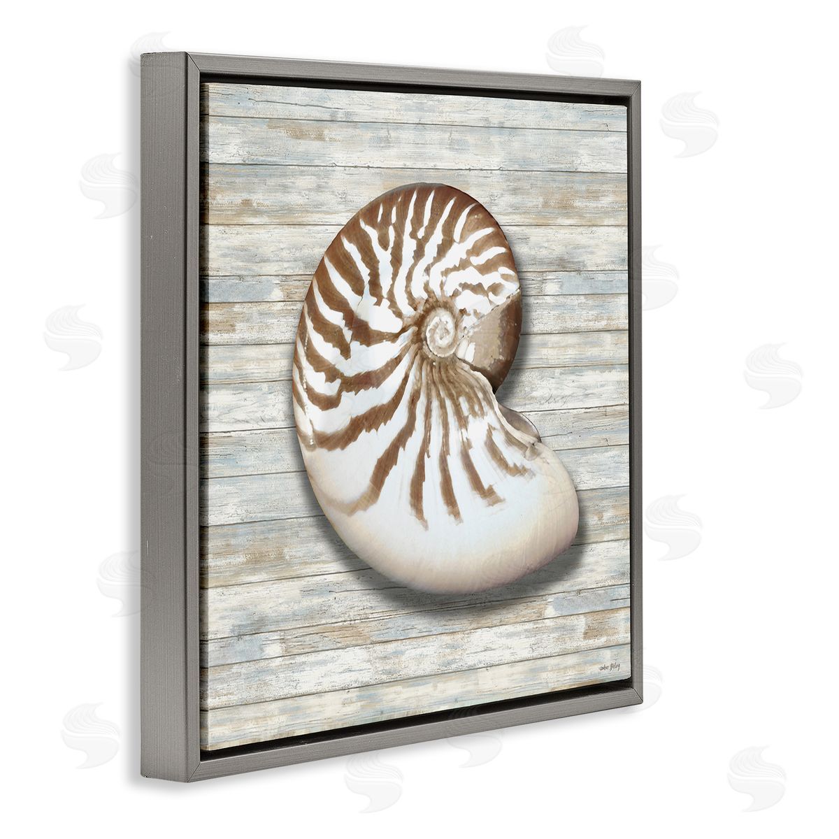 Amber Sterling Cowrie Shell on Shiplap Canvas Wall Art Print