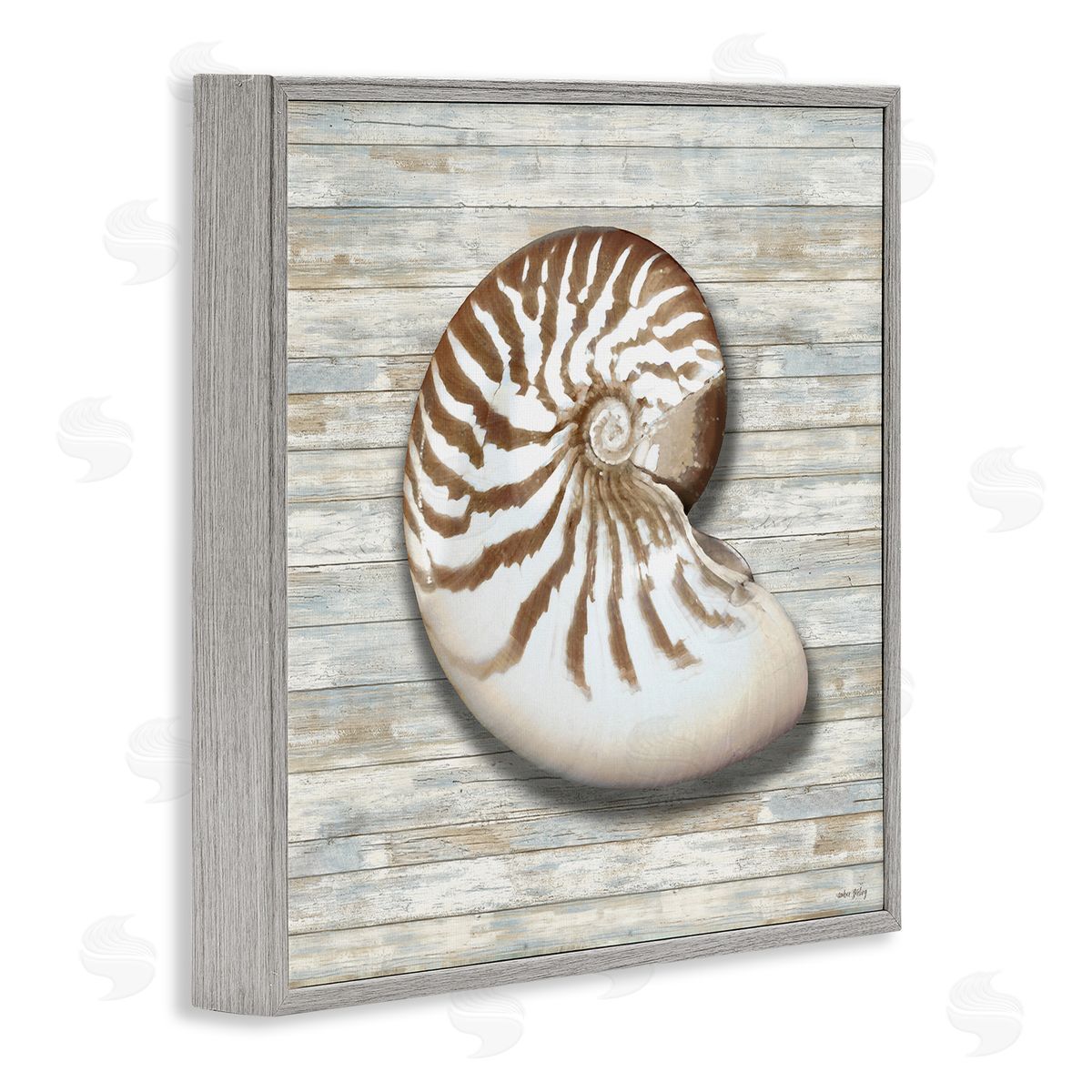 Amber Sterling Cowrie Shell on Shiplap Canvas Wall Art Print