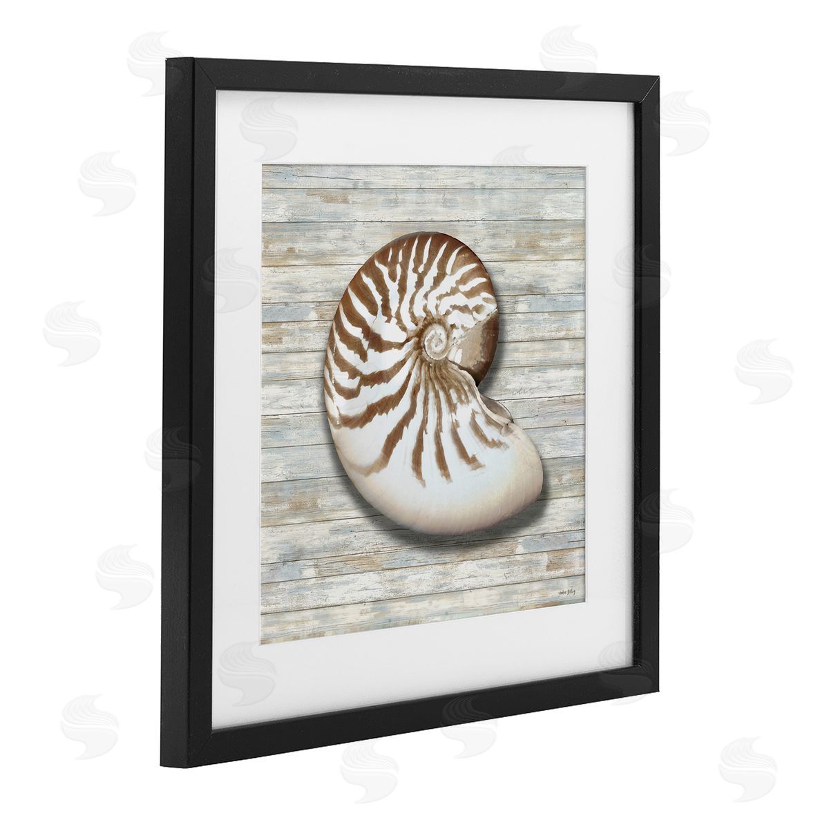 Amber Sterling Cowrie Shell on Shiplap Canvas Wall Art Print