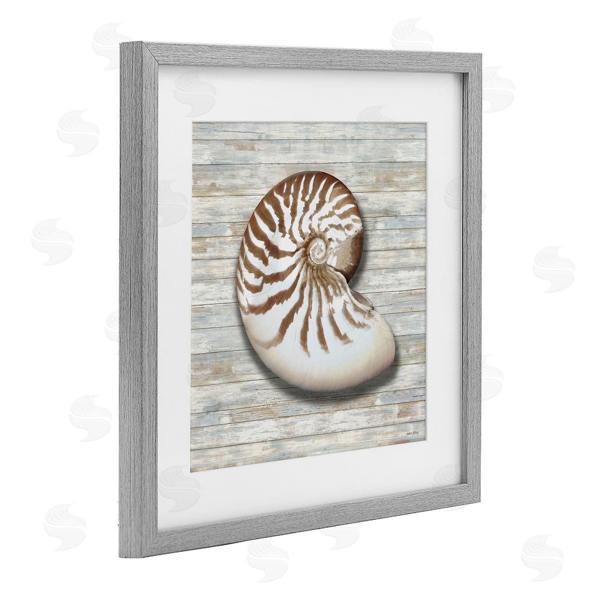 Amber Sterling Cowrie Shell on Shiplap Canvas Wall Art Print