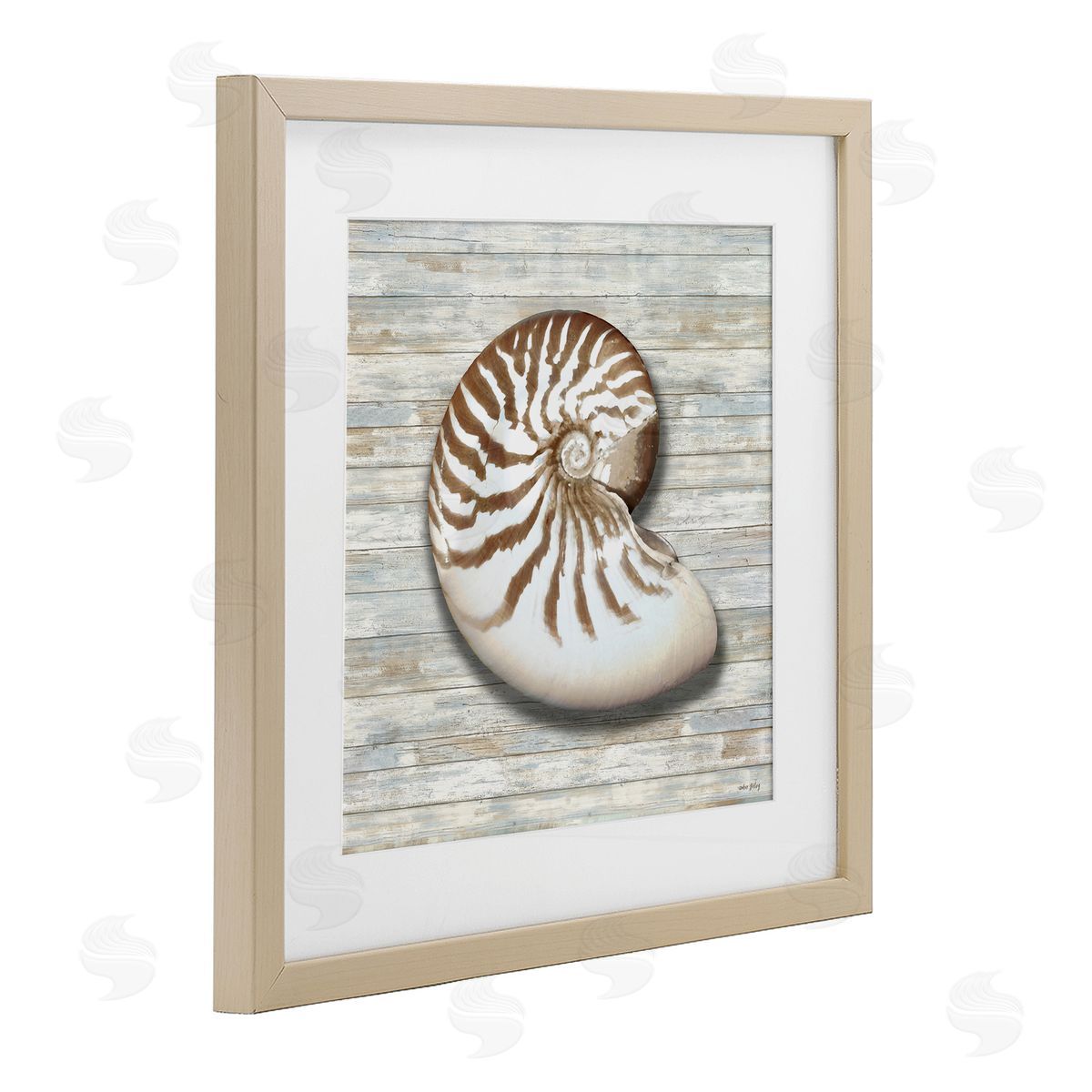 Amber Sterling Cowrie Shell on Shiplap Canvas Wall Art Print