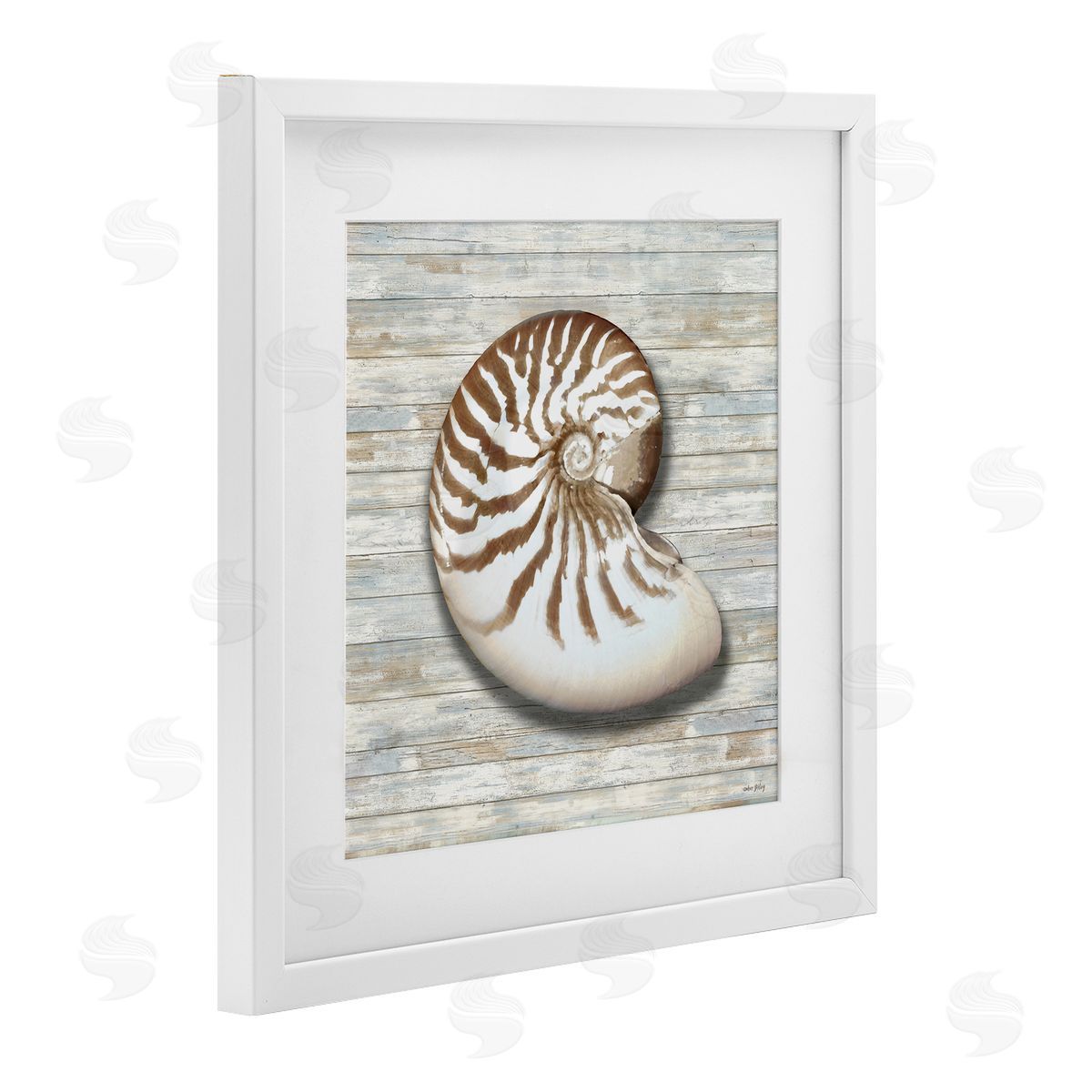 Amber Sterling Cowrie Shell on Shiplap Canvas Wall Art Print