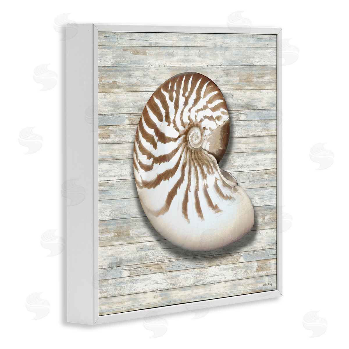 Amber Sterling Cowrie Shell on Shiplap Canvas Wall Art Print