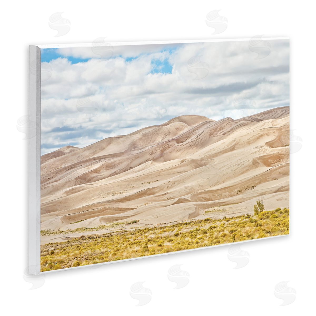Seven Trees Design Dunes In The Distance Canvas Wall Art Print