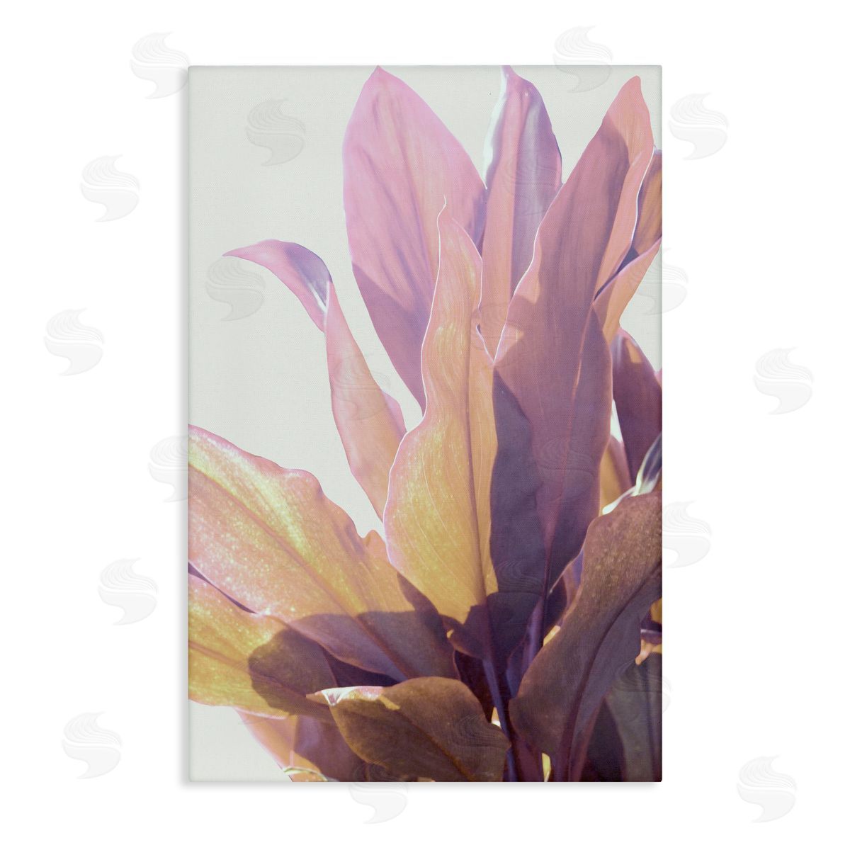 Gemma Bardot Leafy Sunlit Plant Canvas Wall Art Print