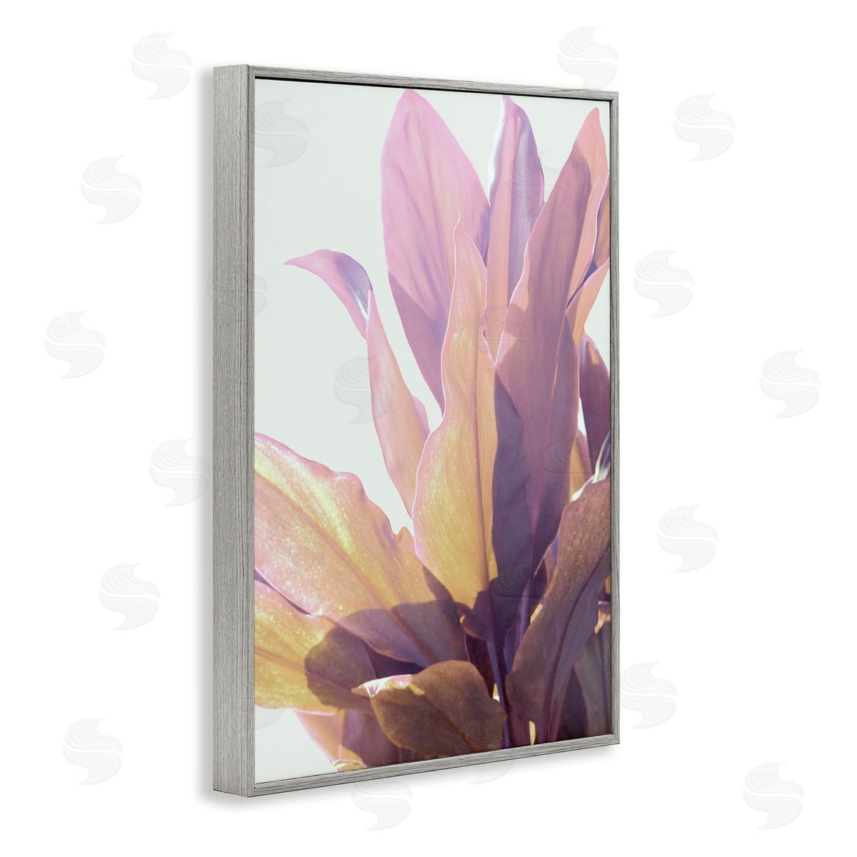 Gemma Bardot Leafy Sunlit Plant Canvas Wall Art Print