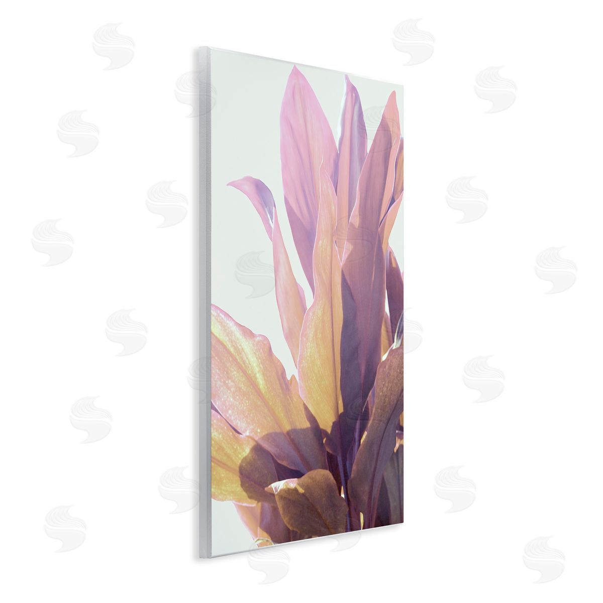 Gemma Bardot Leafy Sunlit Plant Canvas Wall Art Print