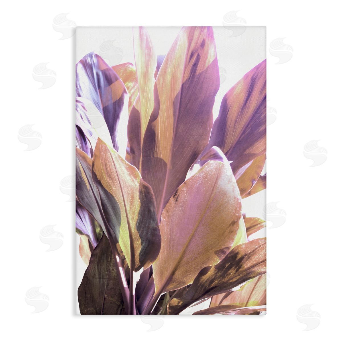 Gemma Bardot Tropical Lit Leaves Canvas Wall Art Print