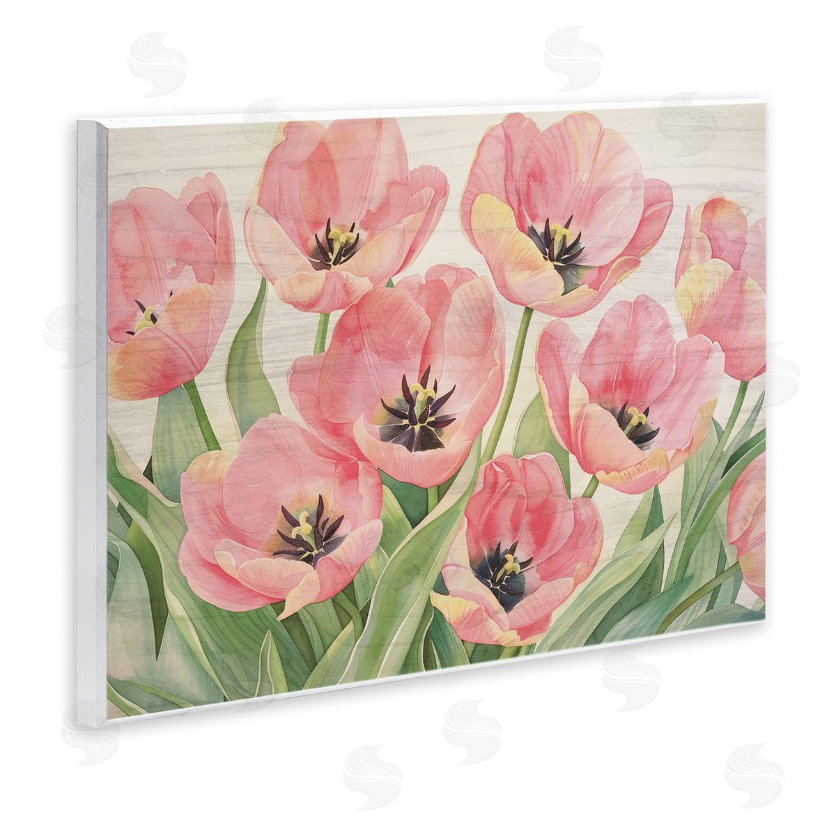 Maya Blooms Shabby Chic Poppy Garden Canvas Wall Art Print