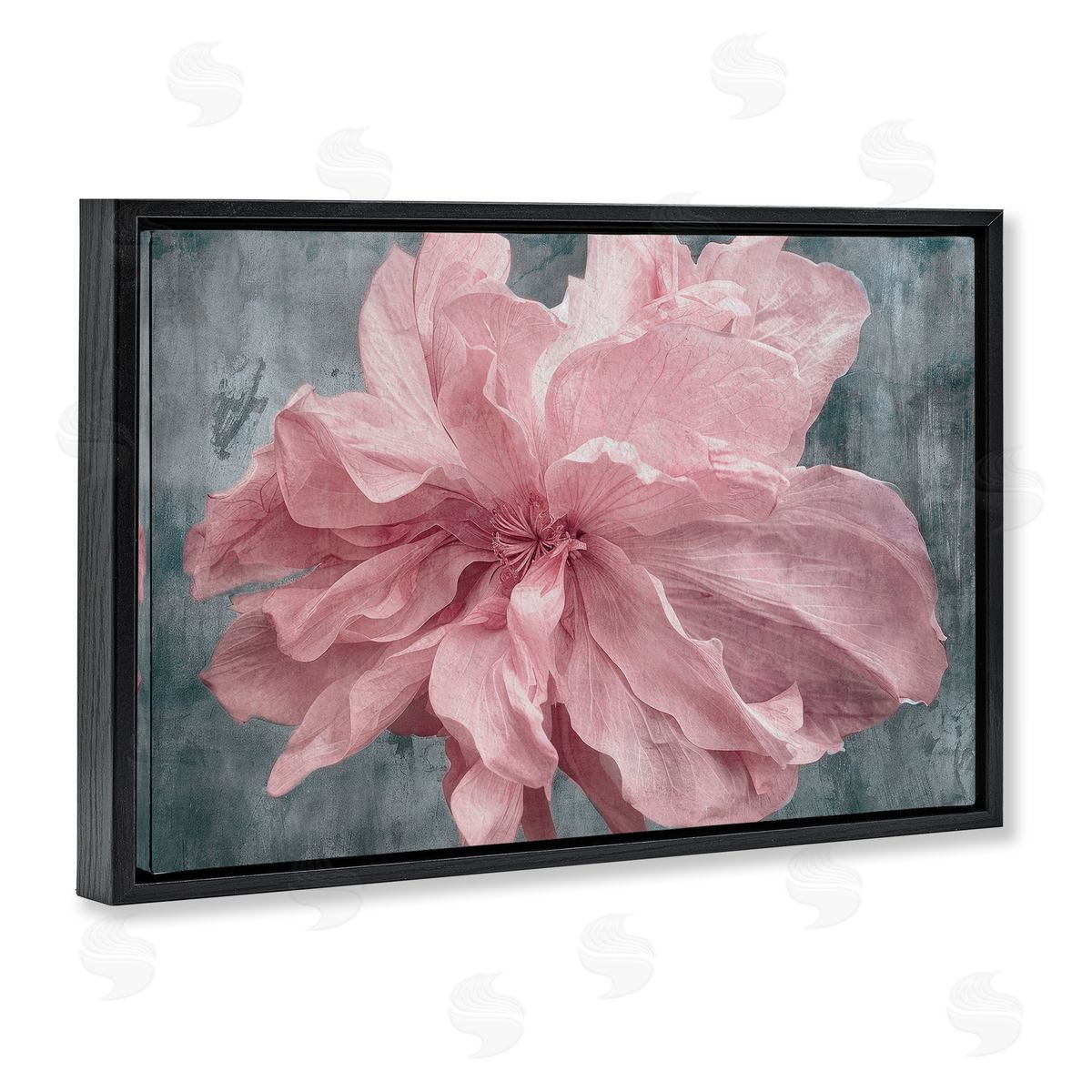 Shirley G. Flower with Wavy Petals Canvas Wall Art Print