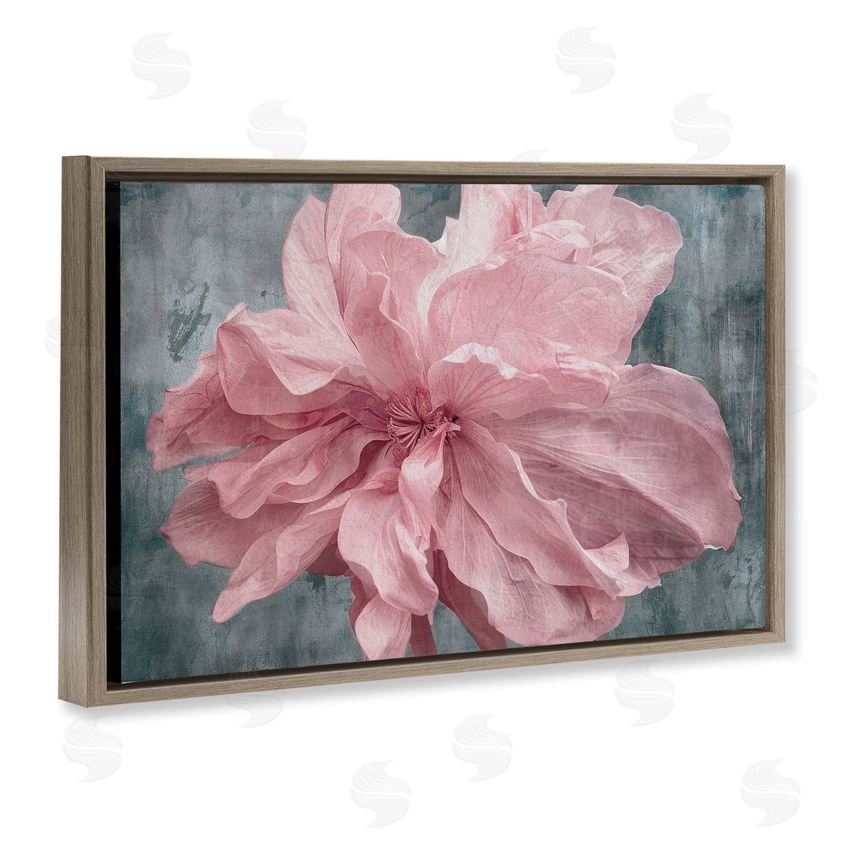 Shirley G. Flower with Wavy Petals Canvas Wall Art Print