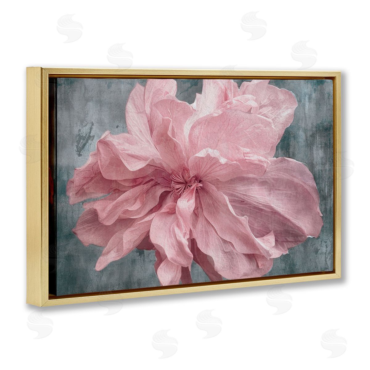 Shirley G. Flower with Wavy Petals Canvas Wall Art Print