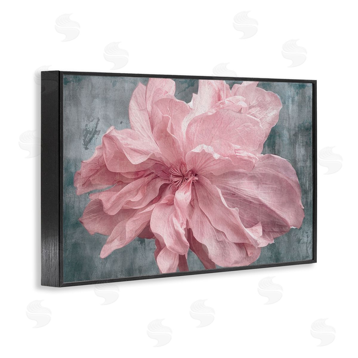 Shirley G. Flower with Wavy Petals Canvas Wall Art Print