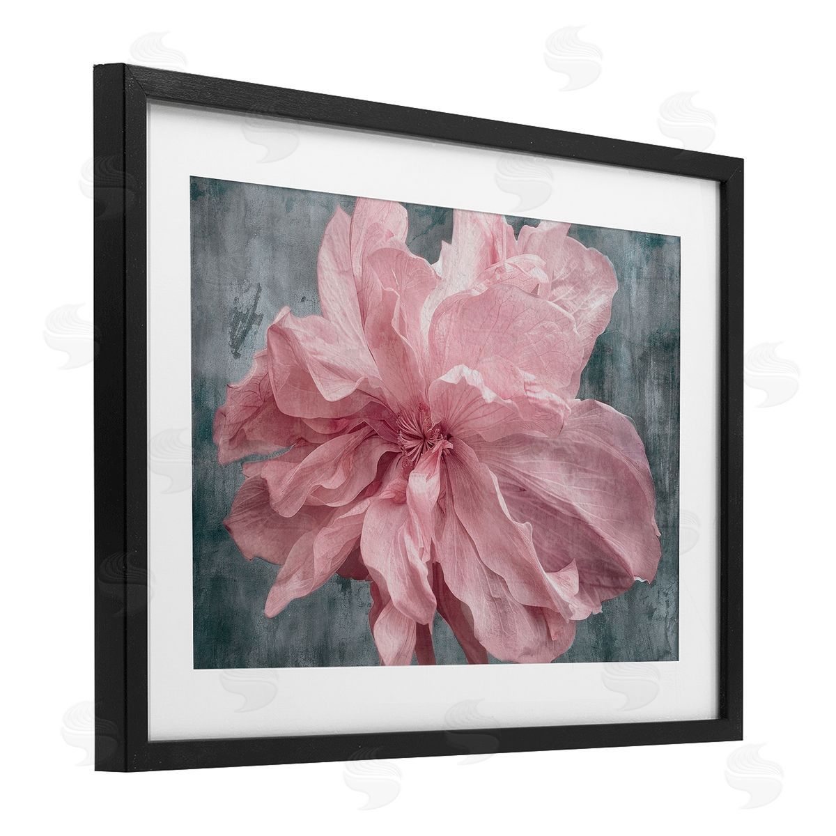 Shirley G. Flower with Wavy Petals Canvas Wall Art Print