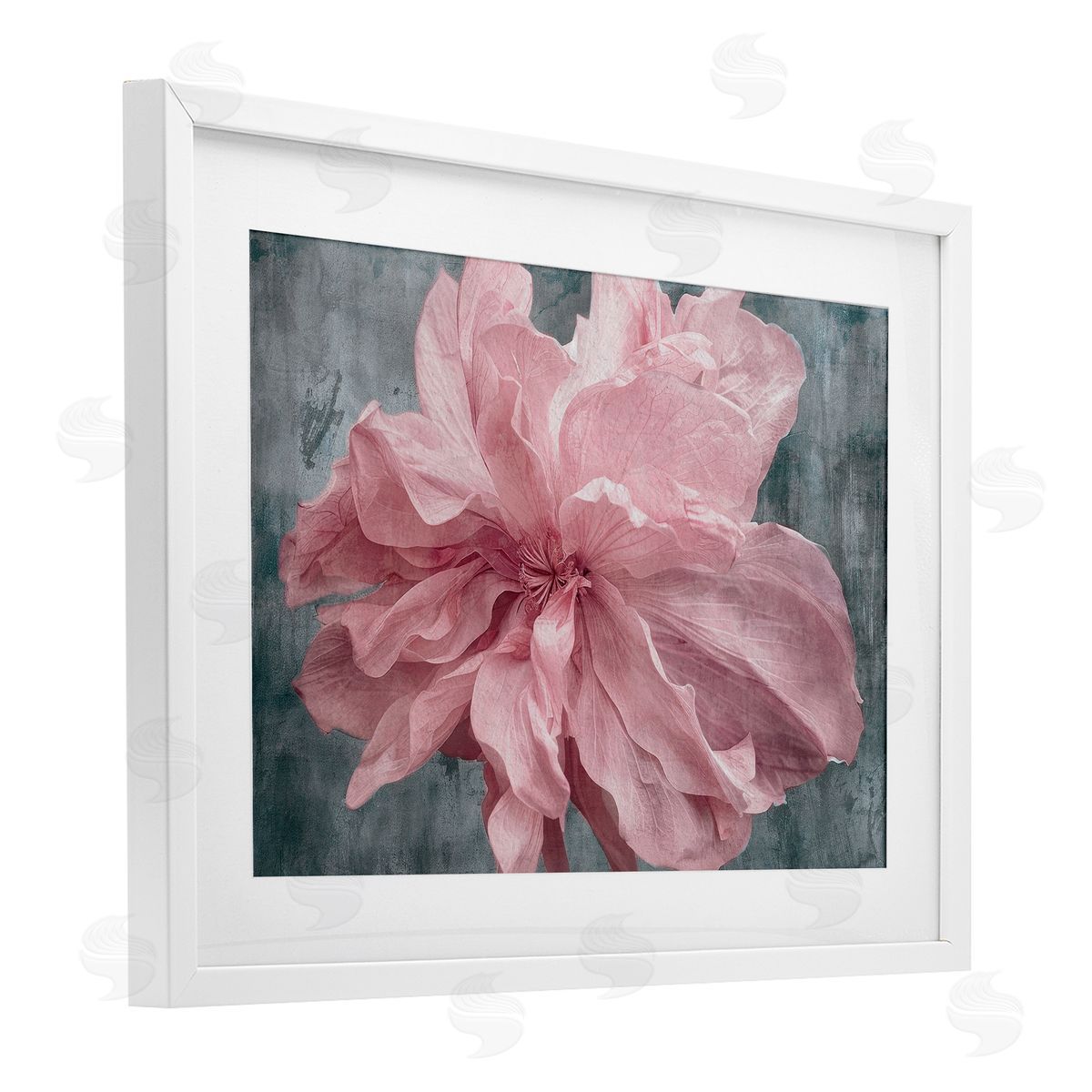 Shirley G. Flower with Wavy Petals Canvas Wall Art Print