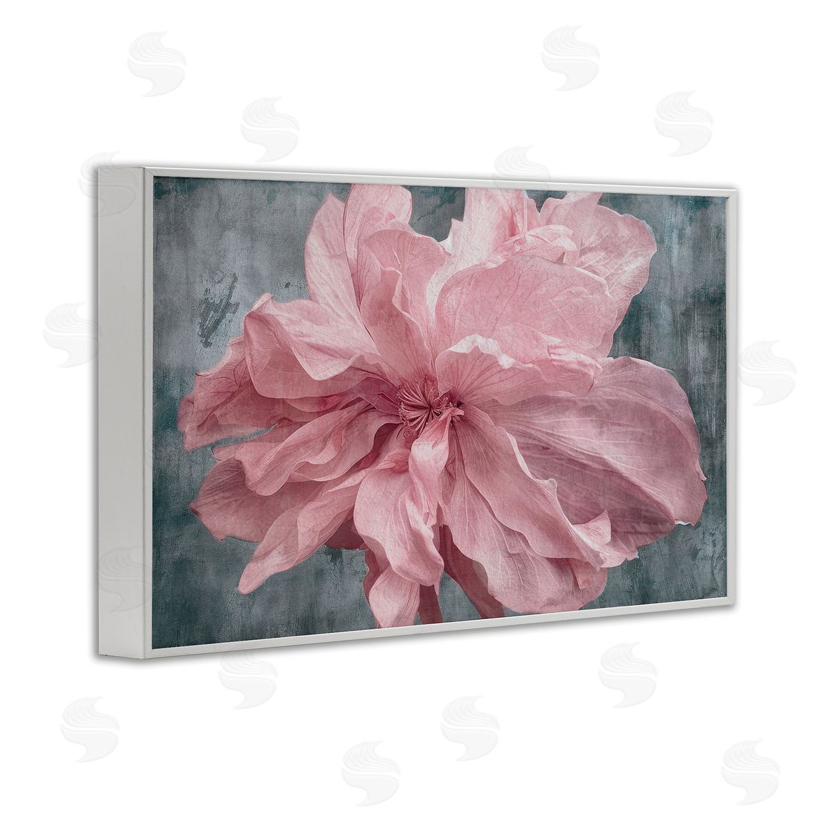 Shirley G. Flower with Wavy Petals Canvas Wall Art Print