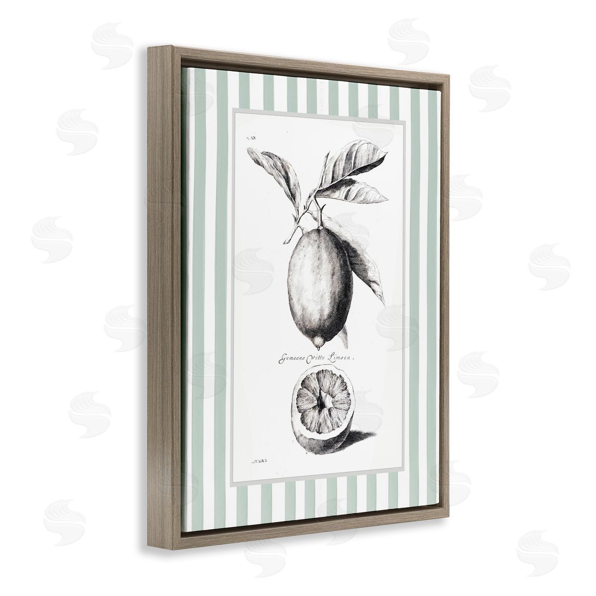 Lettered and Lined Vintage Lemon Striped Border Canvas Wall Art Print