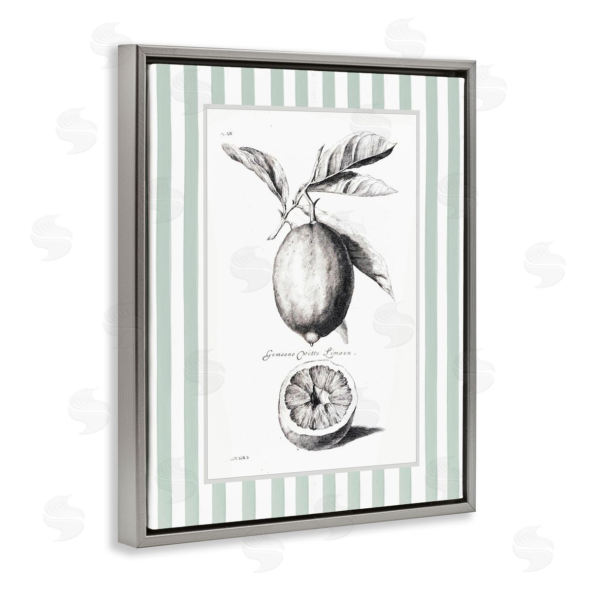 Lettered and Lined Vintage Lemon Striped Border Canvas Wall Art Print