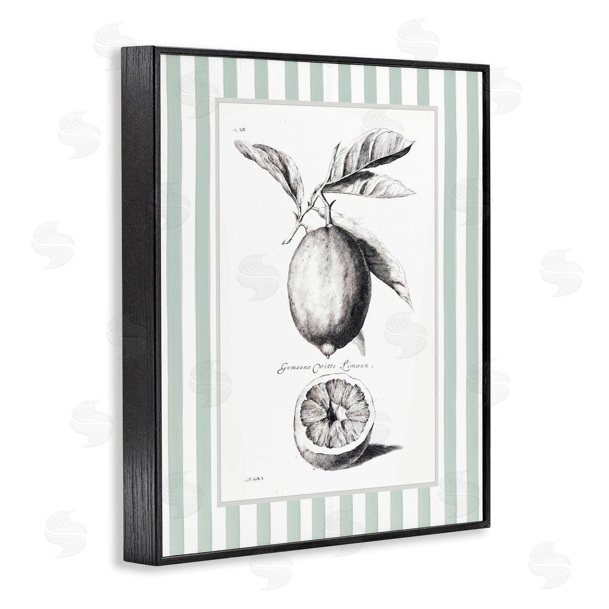 Lettered and Lined Vintage Lemon Striped Border Canvas Wall Art Print