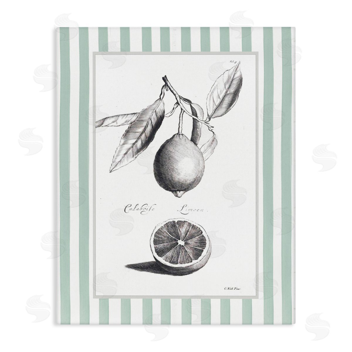 Lettered and Lined Vintage Citrus Striped Border Canvas Wall Art Print