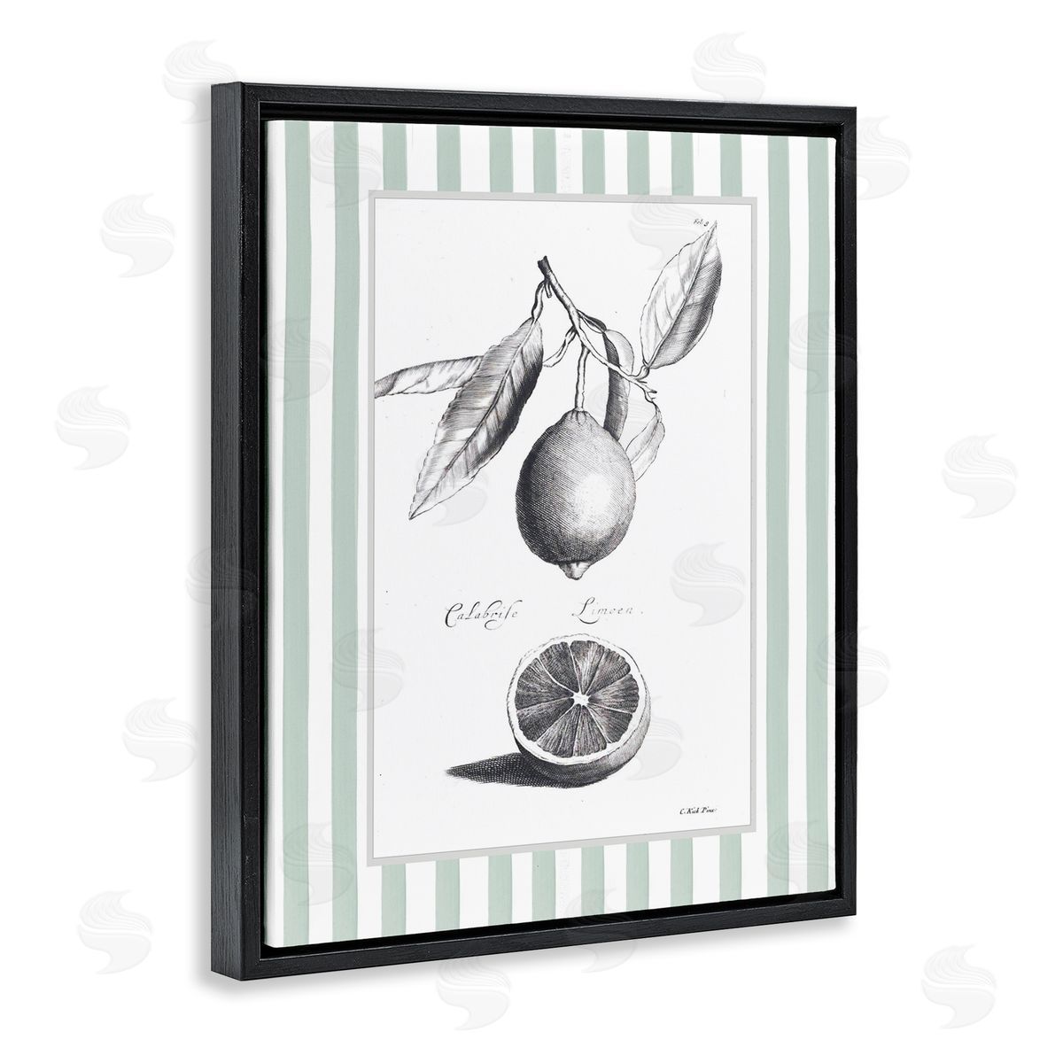 Lettered and Lined Vintage Citrus Striped Border Canvas Wall Art Print