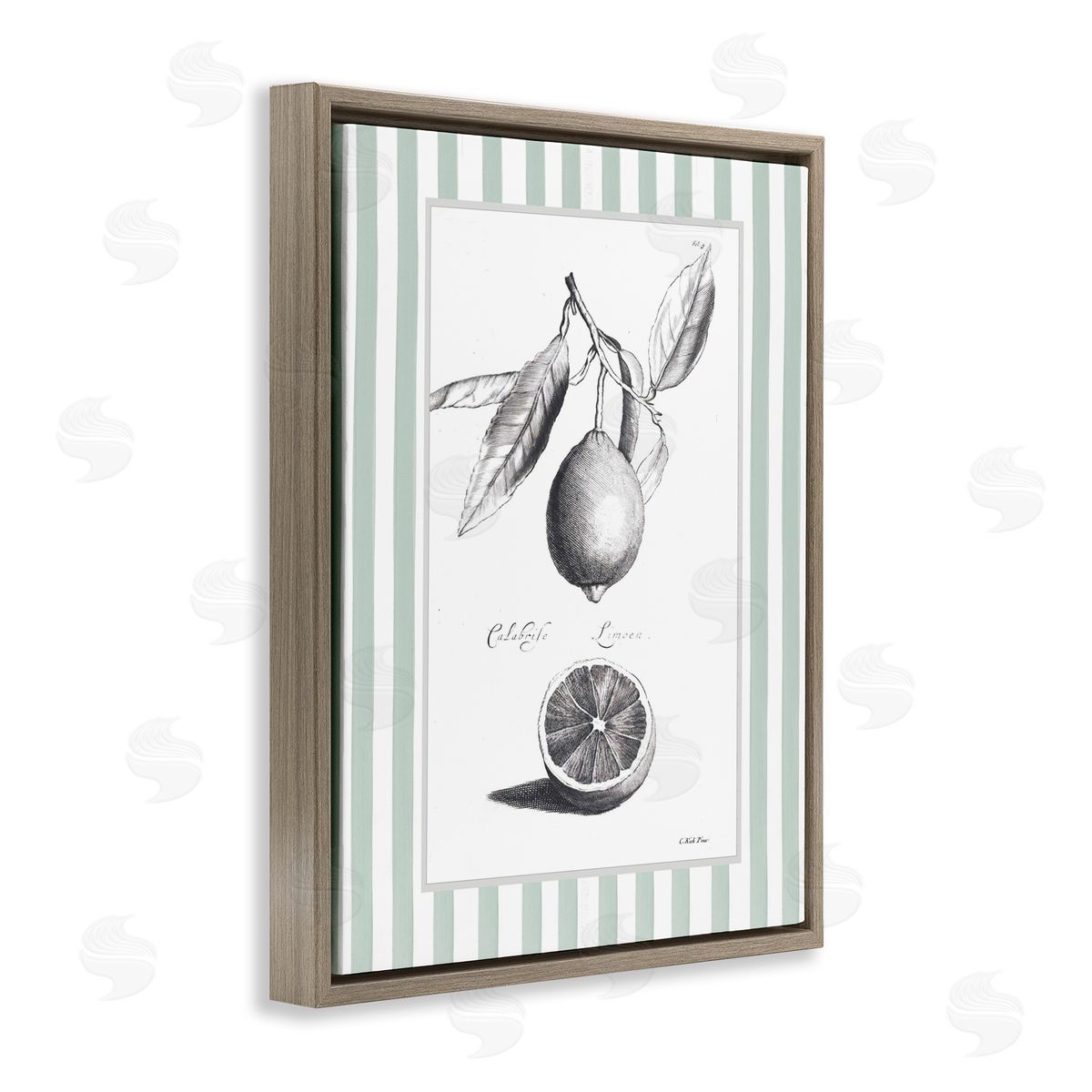 Lettered and Lined Vintage Citrus Striped Border Canvas Wall Art Print