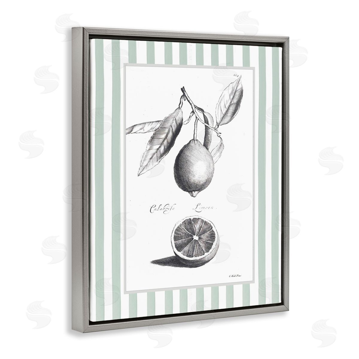 Lettered and Lined Vintage Citrus Striped Border Canvas Wall Art Print