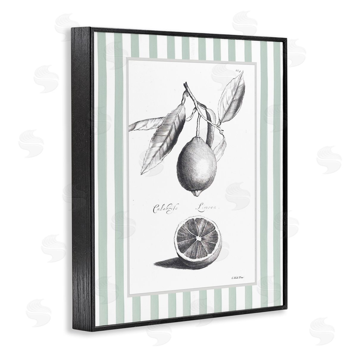 Lettered and Lined Vintage Citrus Striped Border Canvas Wall Art Print
