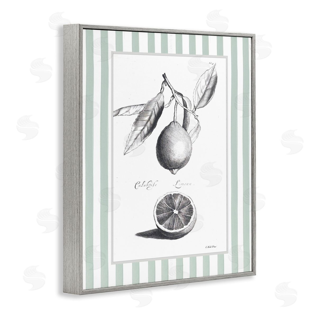 Lettered and Lined Vintage Citrus Striped Border Canvas Wall Art Print