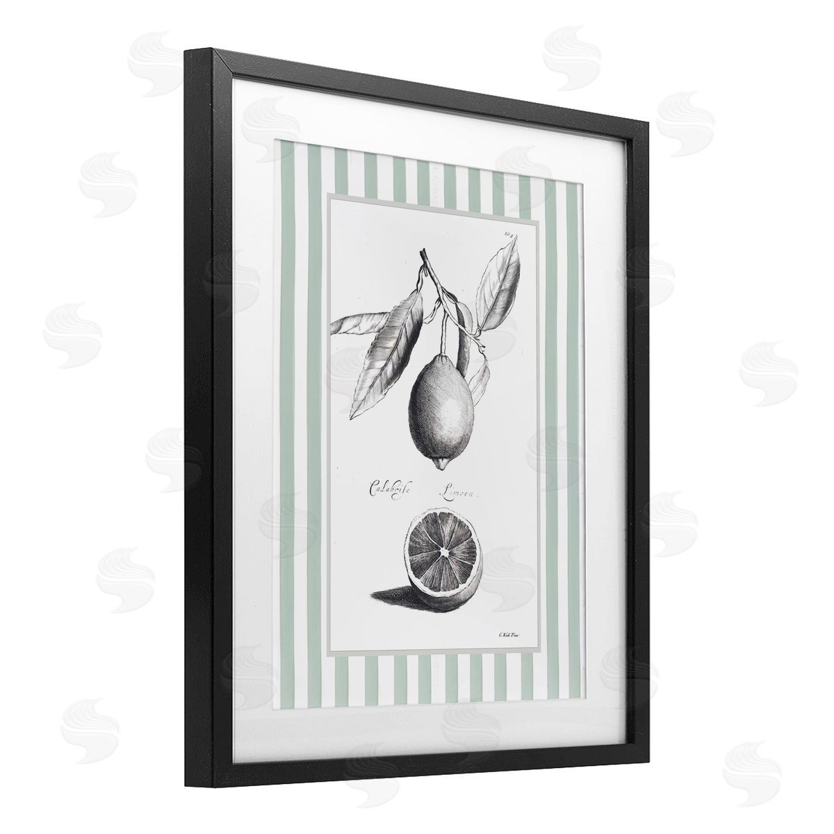 Lettered and Lined Vintage Citrus Striped Border Canvas Wall Art Print