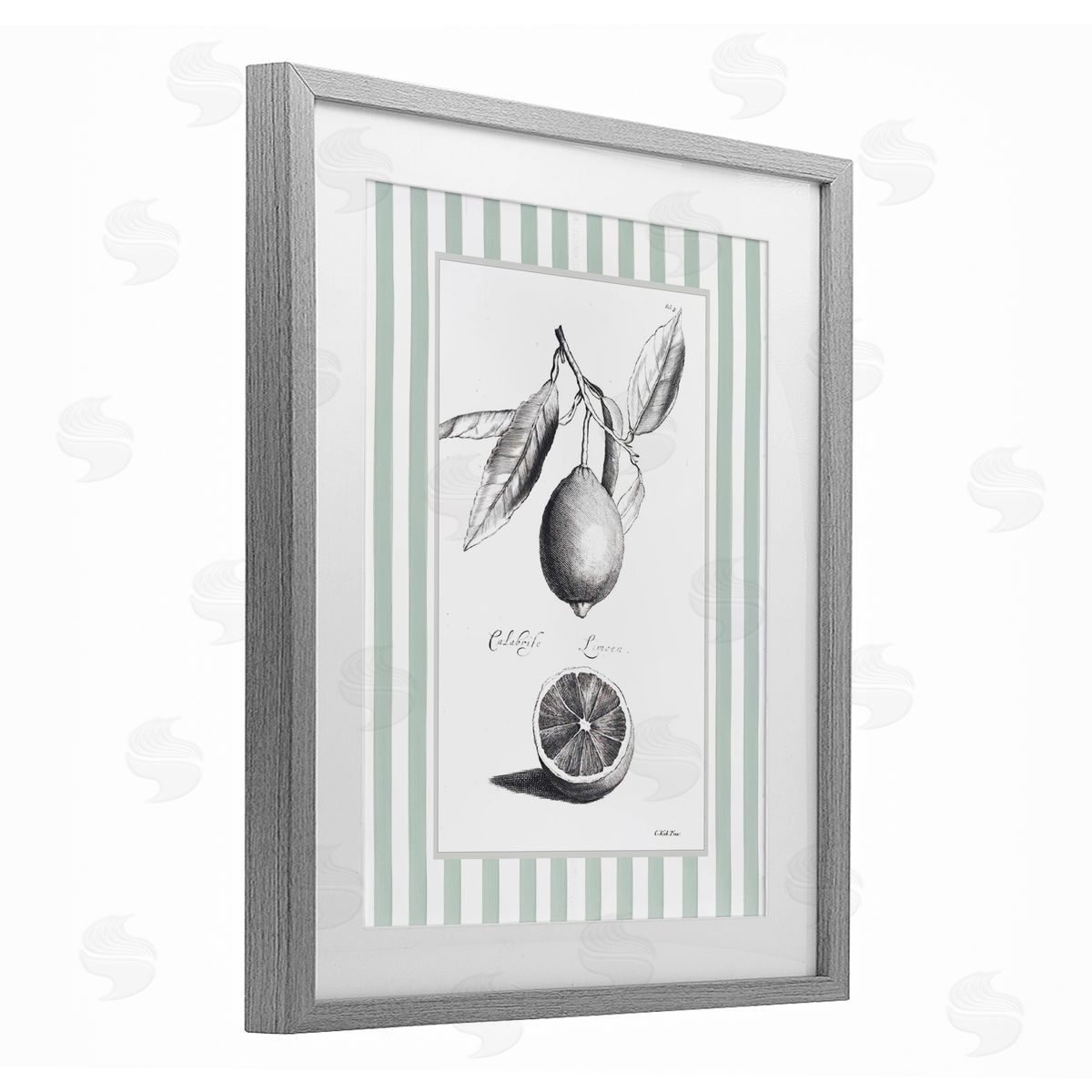 Lettered and Lined Vintage Citrus Striped Border Canvas Wall Art Print